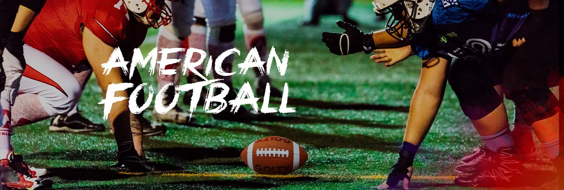 <span hidden>title</span>